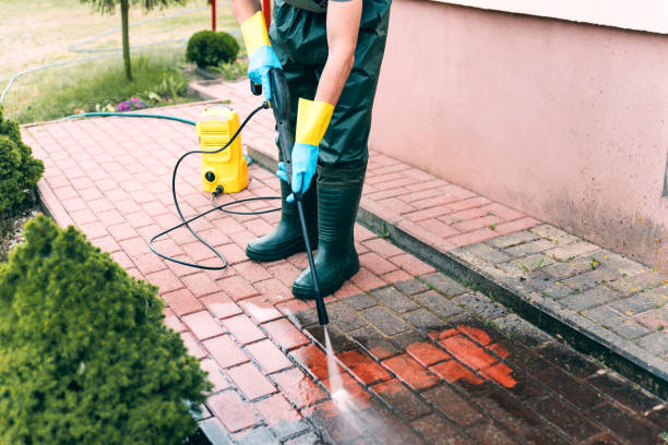 Best Dumpster Area Cleaning  in Hicksville, NY